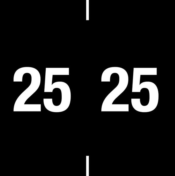 Year Label Ames AEYM 1-7/8" Color Code End Tab