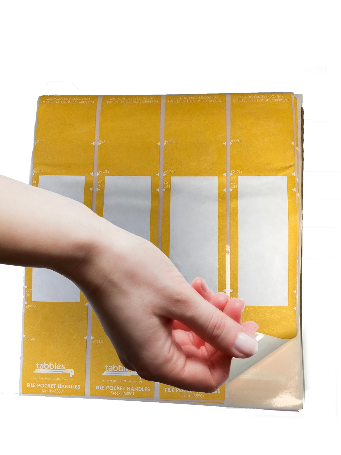 File Pocket Handles