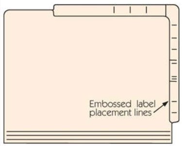 Dual Top/Side Tab File Folders